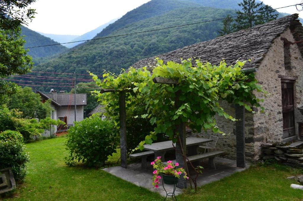 Hotel Garni Maggia Giumaglio Exteriör bild